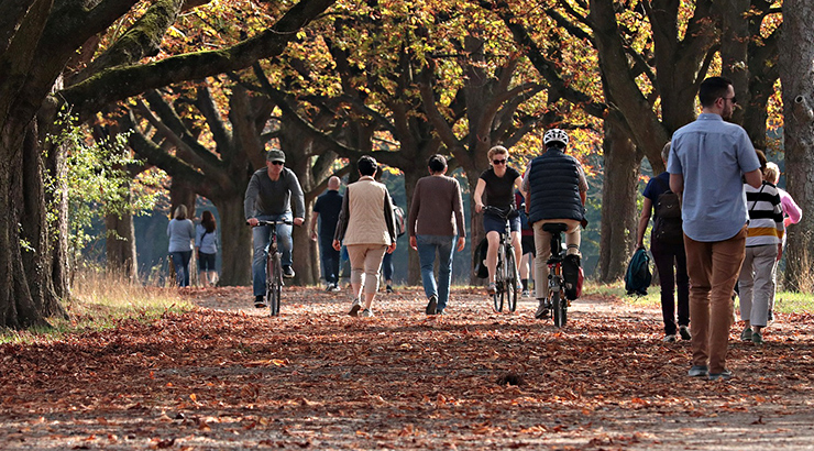 Tijelo nam govori kroz pokret – važnost svakodnevne aktivnosti